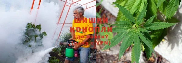 индика Краснослободск