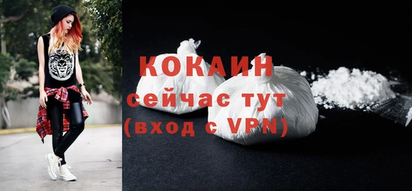 индика Краснослободск
