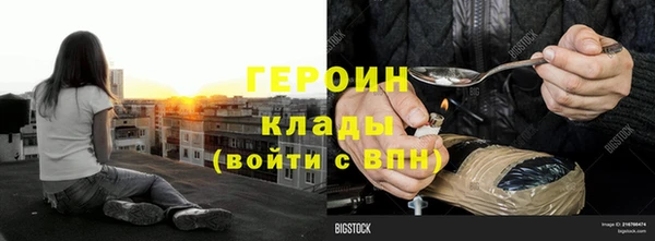 индика Краснослободск