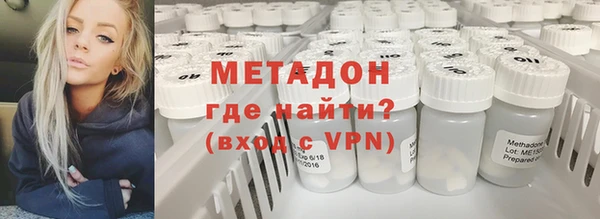 индика Краснослободск