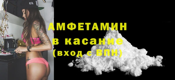 индика Краснослободск
