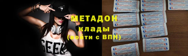 индика Краснослободск