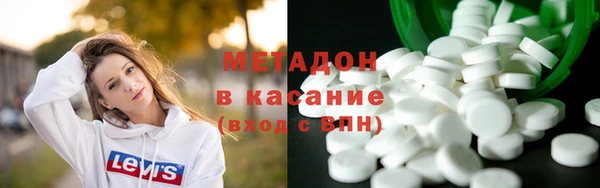 индика Краснослободск