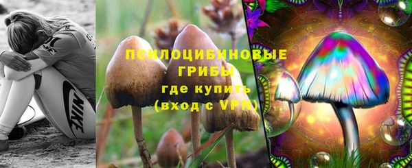 индика Краснослободск