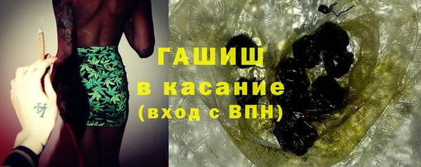 индика Краснослободск