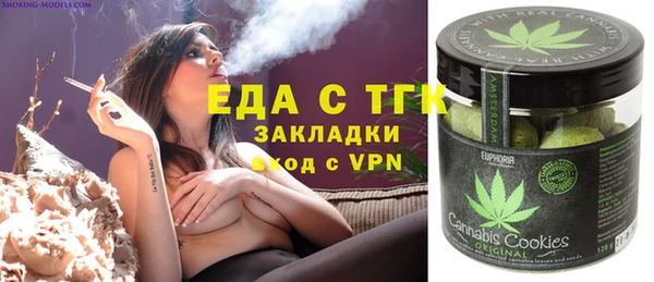 индика Краснослободск