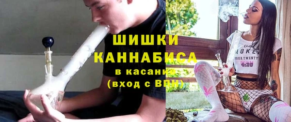 индика Краснослободск