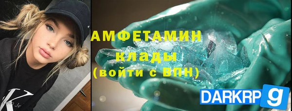 индика Краснослободск