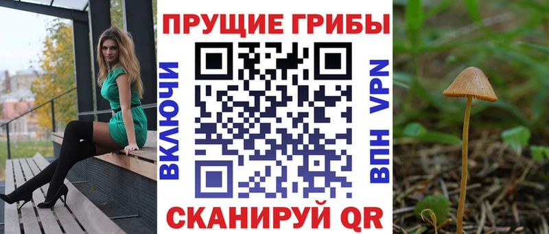 Псилоцибиновые грибы мицелий  нарко площадка официальный сайт  Невинномысск 